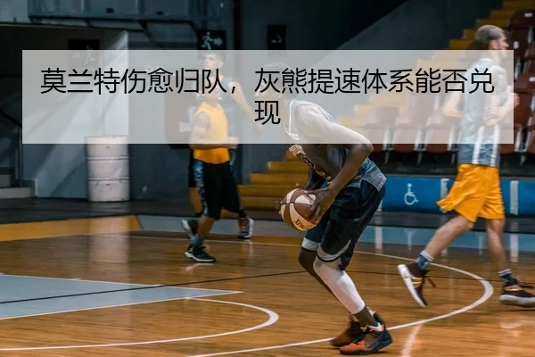 莫兰特伤愈归队，灰熊提速体系能否兑现